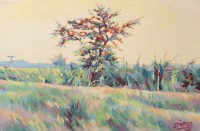 Jam Dipper, 12 x 18 Inch, Acrylic on Canvas, Landscape Painting, AC-JMD-005